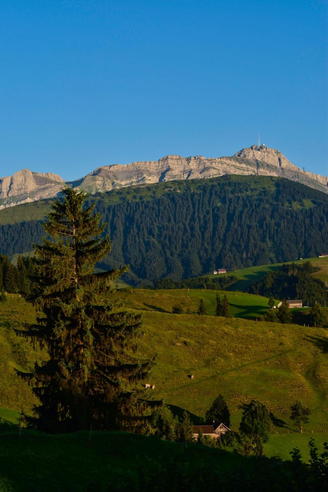 Ferienwohnung In Buehler Naehe Appenzell Buhler المظهر الخارجي الصورة
